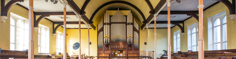 31---organ.jpg